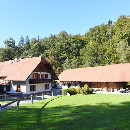 Domacija Seruga Countryside Hotel Novo Mesto Exterior foto