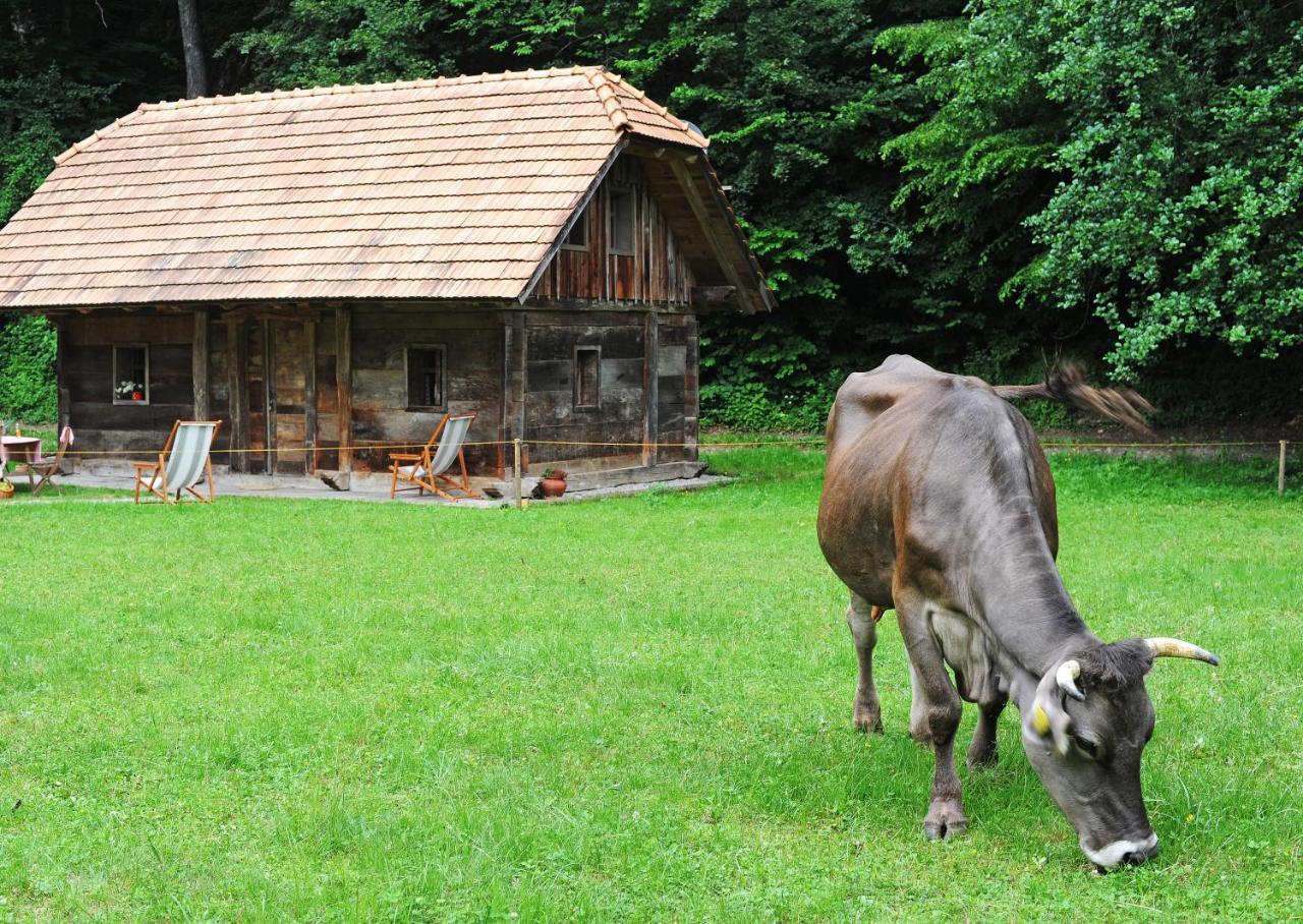 Domacija Seruga Countryside Hotel Novo Mesto Exterior foto